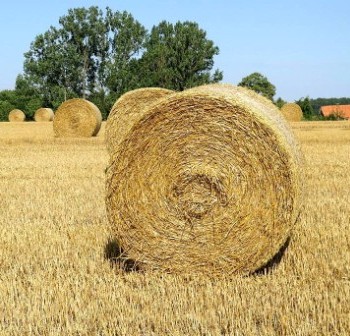 Strohballen auf dem Feld